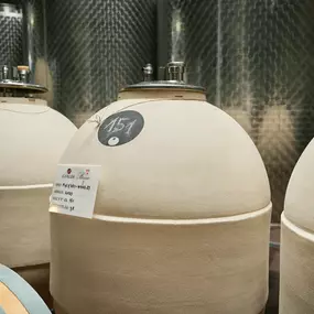 Bild von Gialdi Vini SA