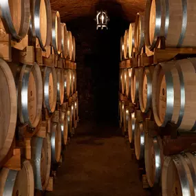 Bild von Gialdi Vini SA