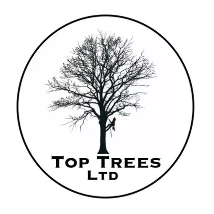 Logo von TopTrees Ltd