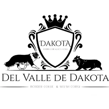 Logo od Corgi de Dakota