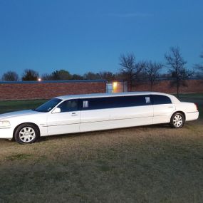 Bild von Blue Ribbon Limo