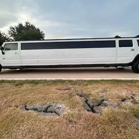 Bild von Blue Ribbon Limo and Party Bus