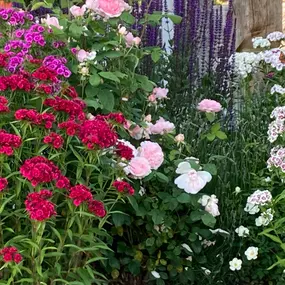 Bild von Raduner Gartenbau AG