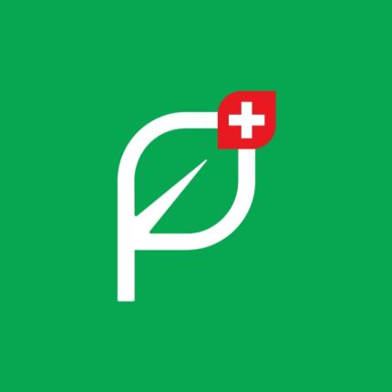 Logo de Paletten Logistik GmbH | EURO-Paletten | Palettenrahmen | gebrauchte Paletten