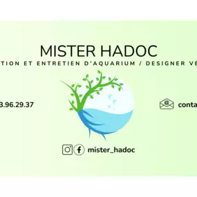 Bild von Mister hadoc