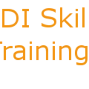 Bild von Indi Skills Training