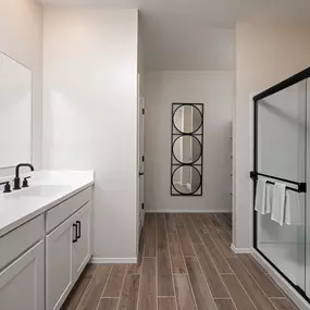 Model Home Primary Suite Bathroom