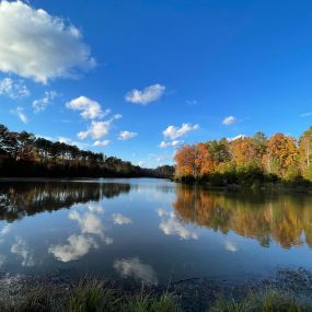 Lake Hasentree