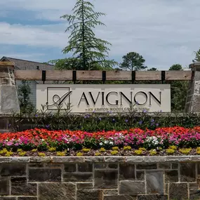 Entrance at Avignon by Ashton Woods