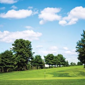 Explore the lush greens and challenging fairways of the local golf courses
