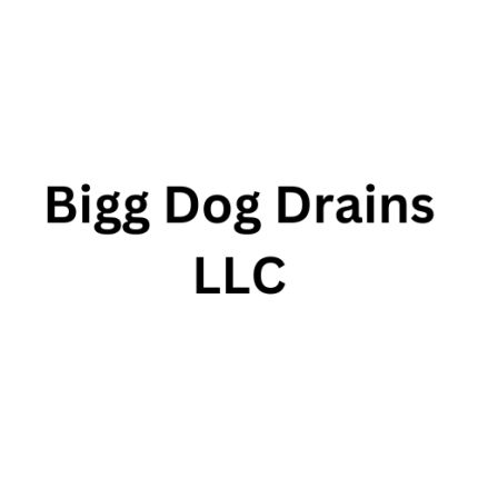 Logo de Bigg Dog Drains
