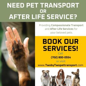 Bild von two by two pet transport