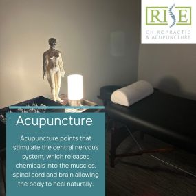 Bild von Rise Chiropractic and Acupuncture