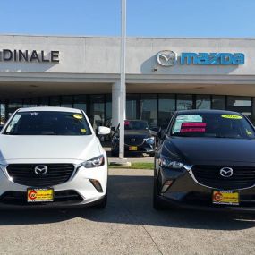 Bild von Cardinale Mazda