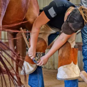 Bild von Oklahoma Horseshoeing School - OHS