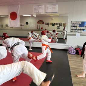 Bild von Jaguar Dojo