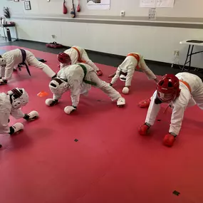 Bild von Jaguar Dojo