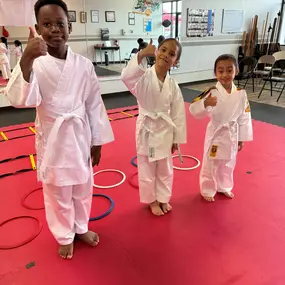 Bild von Jaguar Dojo