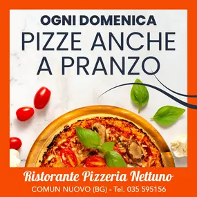 Bild von Ristorante Pizzeria Nettuno - Comun Nuovo - Bergamo