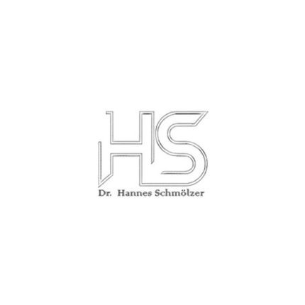 Logo von Dr. Hannes Schmölzer