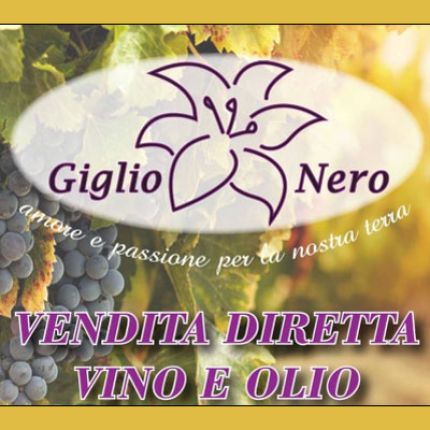 Logo from Giglio Nero Azienda Agricola - Negozio Vendita Diretta Vino e Olio