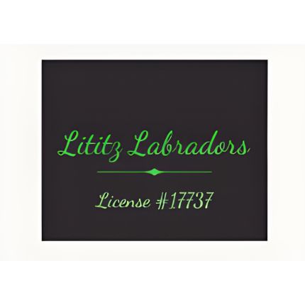 Logo von Lititz Labradors