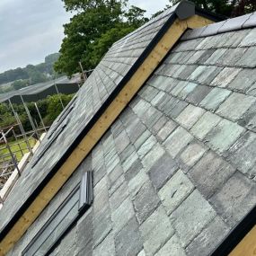 Bild von SW Roofers & Property Maintenance