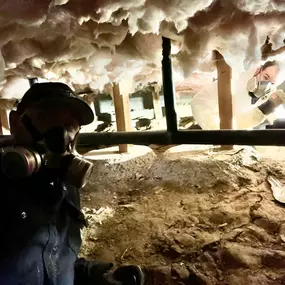 Bild von PURCOR Pest Solutions