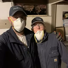 Bild von PURCOR Pest Solutions