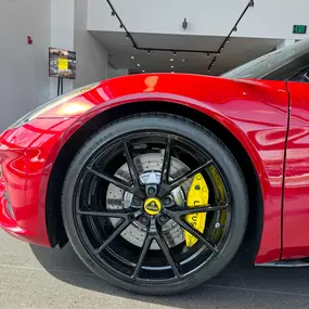 Bild von Lotus Columbus