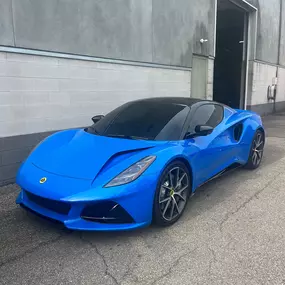 Bild von Lotus Columbus