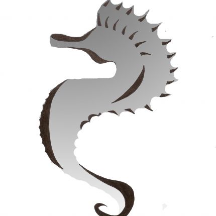 Logo from Saitenland - entdecke die Vielsaitigkeit