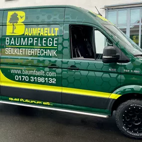 Bild von BAUMFAELLT - Baumpflege - Seilklettertechnik