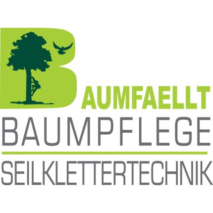 Logotyp från BAUMFAELLT-Baumpflege