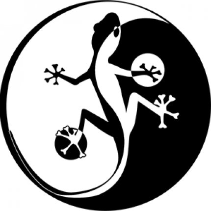 Logo van GEKKo Taiji Berlin