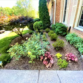 Landscape Installation