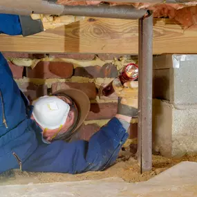 Bild von Phantom Contractors Crawl Space Experts