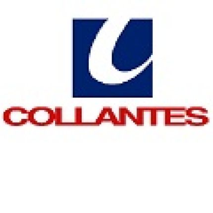 Logotyp från Colchonería Collantes Palencia