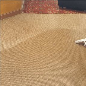 Bild von Sha-Zam Carpet and Upholstery Cleaning