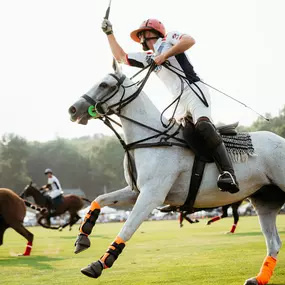 Bild von Farmington Polo Club