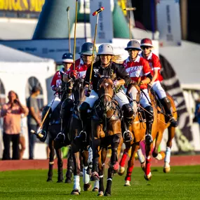 Bild von Farmington Polo Club