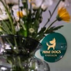 Bild von Prime Dogs Hundesalon