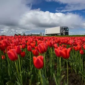 Bild von Trucks Vans Solutions SA