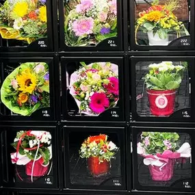 Bild von Blumenberg - Floristik - Gärten - Landschaften