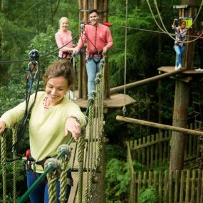 Bild von Go Ape Haldon