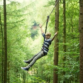 Bild von Go Ape Haldon