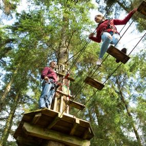 Bild von Go Ape Haldon