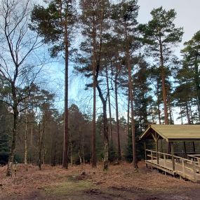 Bild von Go Ape Haldon