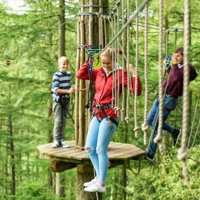 Bild von Go Ape Haldon