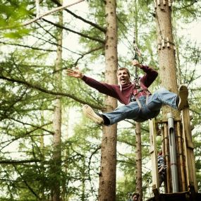 Bild von Go Ape Haldon